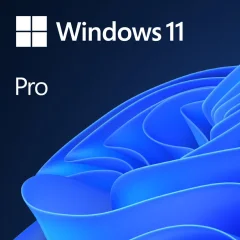 Microsoft Windows Pro 11 DSP/O