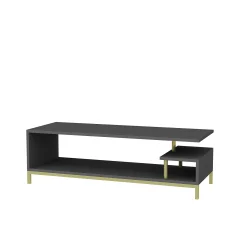 HANAH HOME Reilly - Gold, Anthracite TV omarica