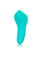 VIBRATOR Calexotics Slay Pleaser