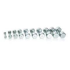 GS UTEŽ PRO CHROME DUMBBELL 6,0KG / 1kos