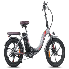 Električno kolo FAFREES F20 Pro - 250W motor 648WH baterija 80KM dosega - siva