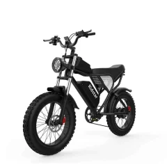 Električno kolo Ridstar Q20 za odrasle 1000 W 48 V 20 AH največ 50 km/h Električno motorno kolo 20" Fat Tire Dirt Bike Shamano 7-Speed