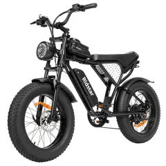 Ridstar Q20 Mini električno kolo za odrasle 1000 W motor 48 V 15 AH odstranljiva baterija Fat Tire Dirt Bike