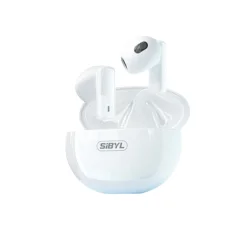 Brezžične slušalke Sibyl TM-79 13MM 35H type-C Bluetooth5.3 IPX5