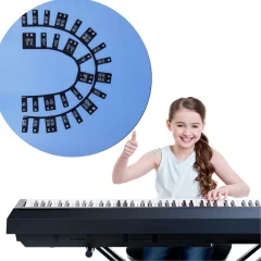 Snemljiva klavirska klaviatura z notno oznako 61 tipk Black