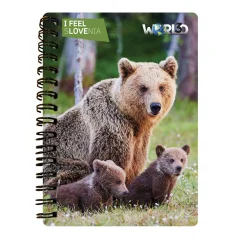 3D notebook A6 50L - Rjavi medved-novo I Feel Slovenia