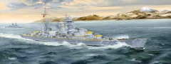 German Heavy Cruiser Blücher