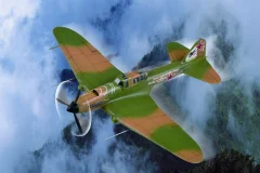 IL-2M3 Attack Aircraft