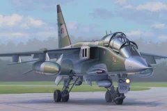 French Jaguar E trainer