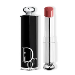 DIOR ADDICT ŠMINKA ŠMINKA 558 1UN