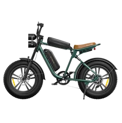 Engwe M20 Električno kolo za odrasle, 750 W, 48 V, 26 Ah, dvojna baterija, polno vzmetenje Fat Ebike - zeleno