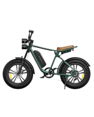 Engwe M20 Električno kolo za odrasle 750 W 48 V 13 Ah s polnim vzmetenjem Fat Ebike - zeleno