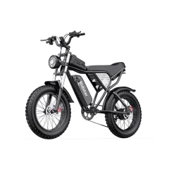 Ridstar Q20 električno kolo - 750W motor 48V20Ah baterija 20" pnevmatike hidravlične zavore - črna