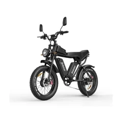 Ridstar Q20 električno kolo - 750W*2 motor 48V20Ah*2 baterija 20" pnevmatike hidravlične zavore - črna