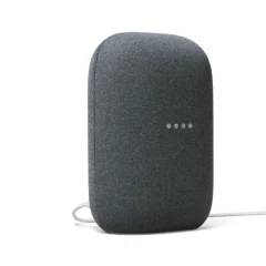 Google Nest Mini Carbon Smart zvočnik