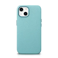 Magnetni usnjeni ovitek za iPhone 14 z zeleno usnjeno torbico MagSafe Litchi Premium Leather Case