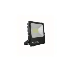 LED REFLEKTOR 20W 6400K IP65