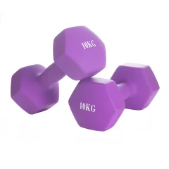 NEO DUMBBELL 1 PAR KG 10