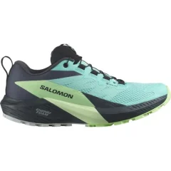 Salomon Sense Ride 5 GTX Women's Shoes, Blue/Green Ash/India Ink - 37 1/3