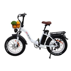 Električno Kolo DrveTion CT20 - 750W Motor 48V15AH Baterija 20" Kolesa Oljna Zavora - Biserno Bela