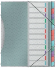 Esselte organizator mapa Color, Ice, A4, PP, 12 predelkov