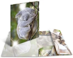 Kotna mapa HERMA, Koala, PP Glossy, DIN A4