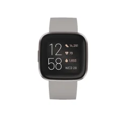 FITBIT Versa 2 (NFC) - Stone/Mist Grey pametna ura