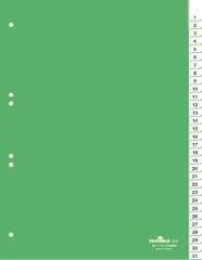 Durable Ločilni listi A4 1/31 (6219)